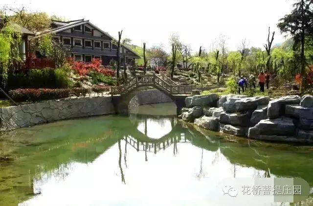 這個周末，隴南康縣花橋有大事要發(fā)生？