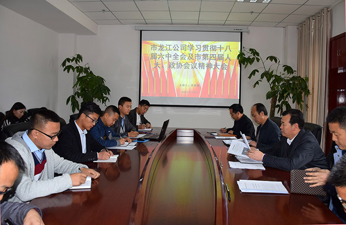 市龍江公司召開全體員工大會，專題傳達學(xué)習(xí)上級會議精神