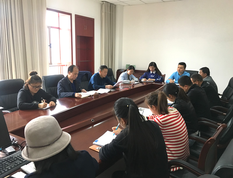 市龍江城鄉(xiāng)發(fā)展集團(tuán)專題學(xué)習(xí)近期中央、省、市紀(jì)律檢查委員會(huì)議精神