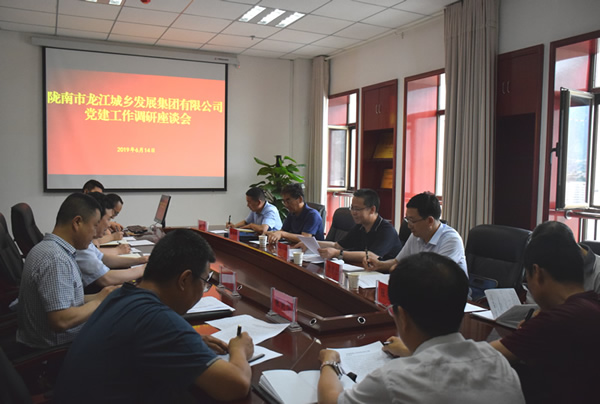 隴南市委常委、組織部部長楊郃調(diào)研指導(dǎo)市龍江城鄉(xiāng)發(fā)展集團(tuán)公司黨建工作