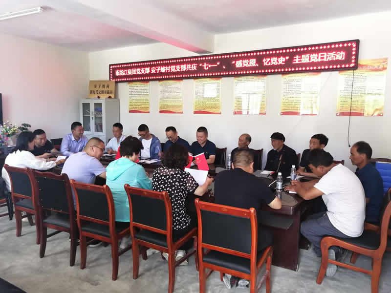 “感黨恩、憶黨史”，--市龍江城鄉(xiāng)發(fā)展集團(tuán)公司開展慶祝建黨99周年主題黨日活動(dòng)