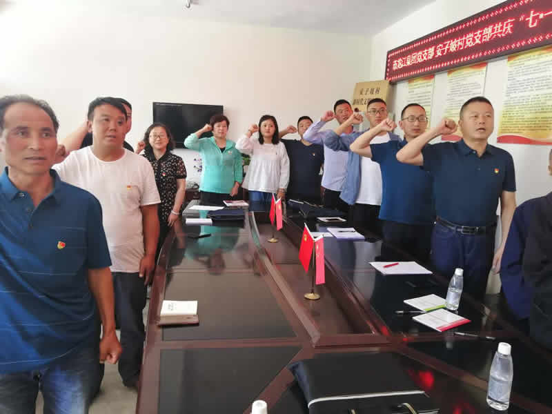 “感黨恩、憶黨史”，--市龍江城鄉(xiāng)發(fā)展集團(tuán)公司開展慶祝建黨99周年主題黨日活動(dòng)