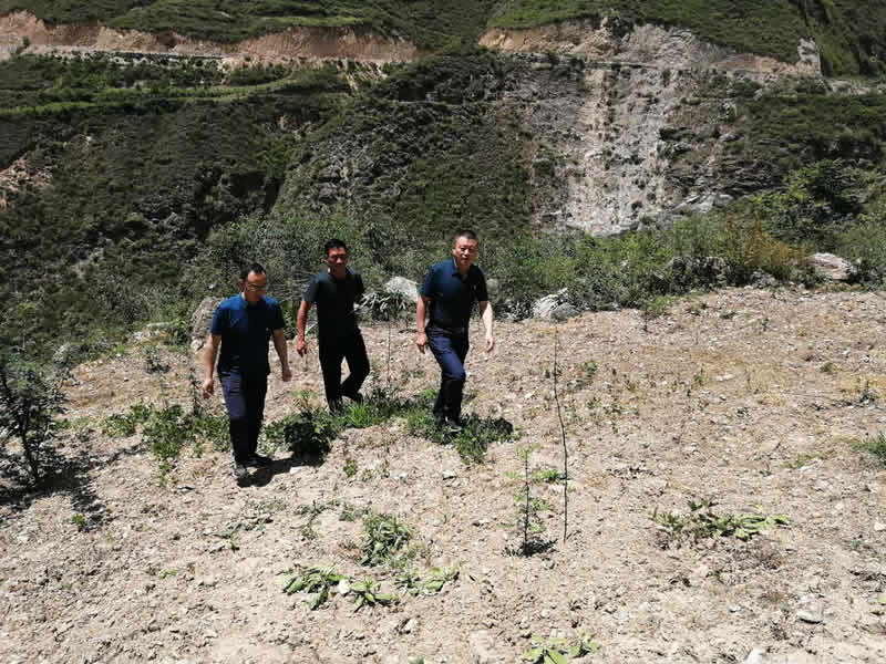 “感黨恩、憶黨史”，--市龍江城鄉(xiāng)發(fā)展集團(tuán)公司開展慶祝建黨99周年主題黨日活動(dòng)